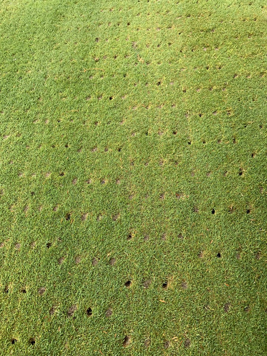 Ryan Vlahek (@rico_ryguy) on Twitter photo The hollow coring and topdressing of 3,13&16 fwy <a href="/BurlingtonGolf/">BurlingtonGolf</a> proved its value after 18mm rain… no puddles! We will complete this process again in the spring #FirmAndFast The hollow coring and topdressing of 3,13&16 fwy <a href="/BurlingtonGolf/">BurlingtonGolf</a> proved its value after 18mm rain… no puddles! We will complete this process again in the spring #FirmAndFast