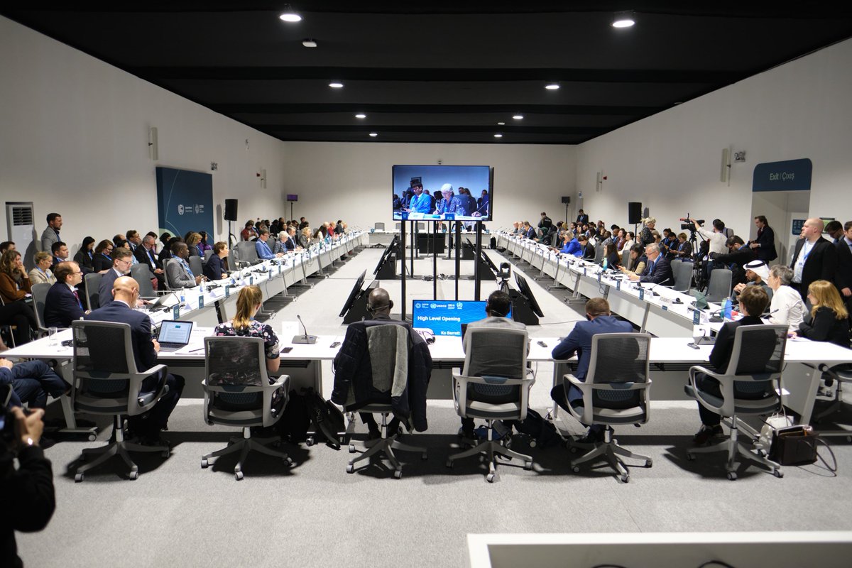 COP28 UAE tweet media