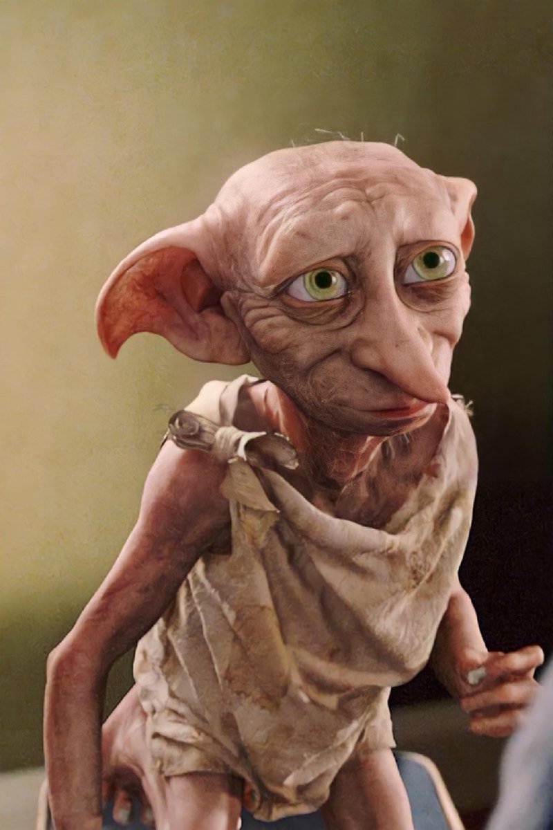 Dobby is a free elf 🧦