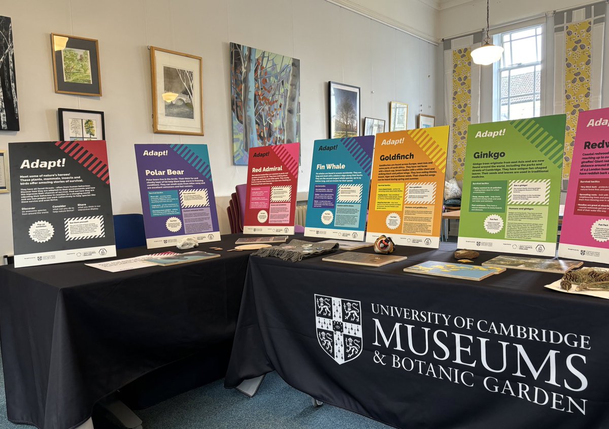 University of Cambridge Museums (@camunivmuseums) on Twitter photo Today we’re at Rock Road Library <a href="/cambslib/">Cambs Libraries</a> with our Adapt! Pop-Up Museum. 🌍
Come along and share what you think about the environment. Your views will help shape our future work in this area. Today we’re at Rock Road Library <a href="/cambslib/">Cambs Libraries</a> with our Adapt! Pop-Up Museum. 🌍
Come along and share what you think about the environment. Your views will help shape our future work in this area.