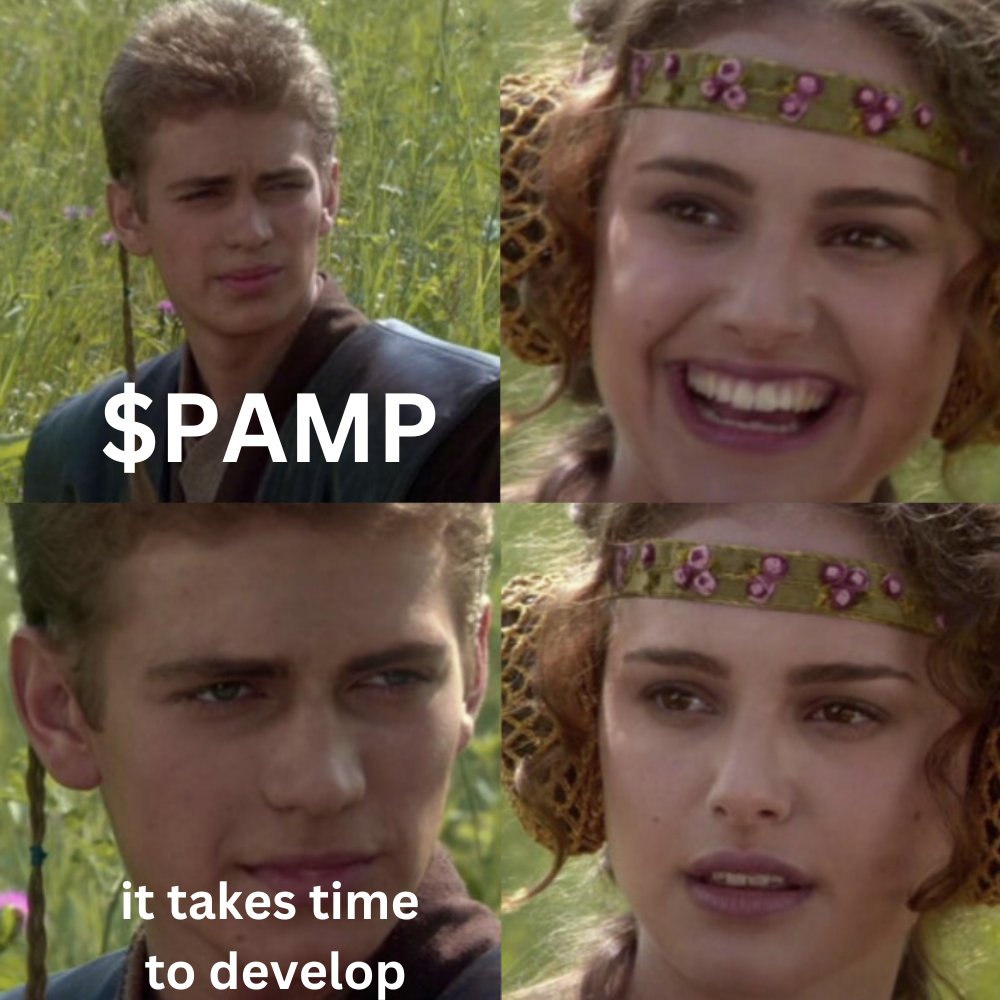 PAMP tweet media