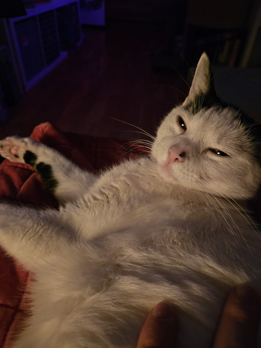 Bocian Przynosi Płyty (ten z Pory Imperatora) 🤟🏻 tweet media