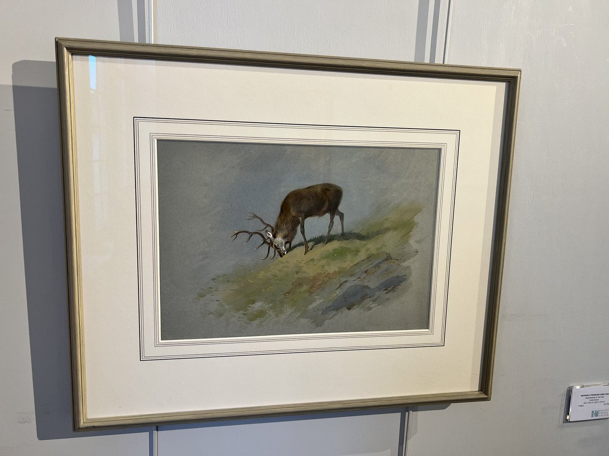 Rountree Tryon tweet media