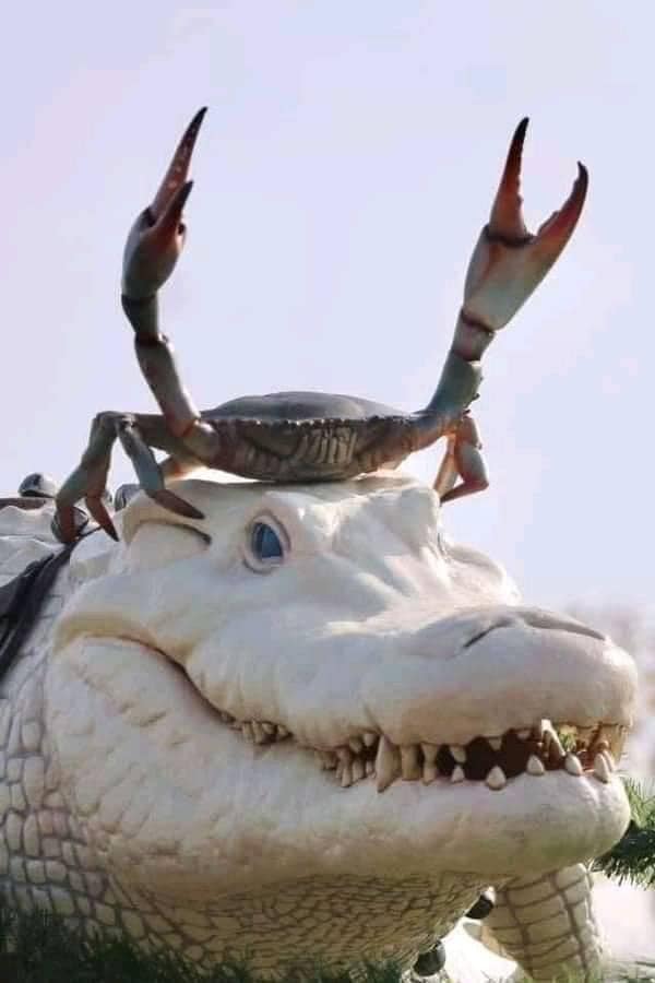 reindeer mode