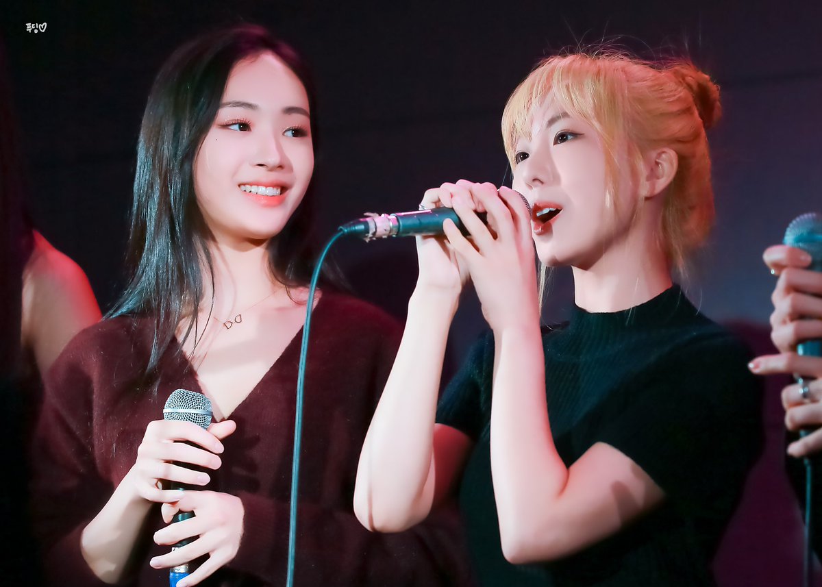 GWSN_0416's tweet photo. 241115 Litotes✨

#공원소녀 #GWSN #서경 #앤 
#SEOKYOUNG #ANNE https://t.co/v82D39GTl4