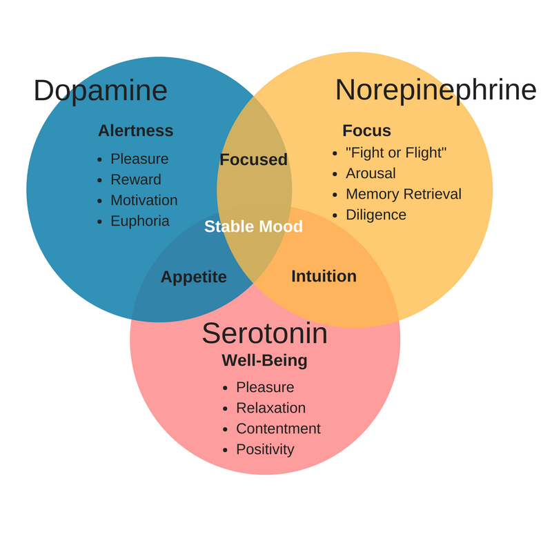 HussainIbarra's tweet photo. Low dopamine means:

- Depression
- Feeling tired
- Anxious and lack of focus

Low norepinephrine means:

- Poor memory
- Sleeping problems
- Chronic fatigue and energy levels

To put it simply... https://t.co/Bnlr0fTYS1
