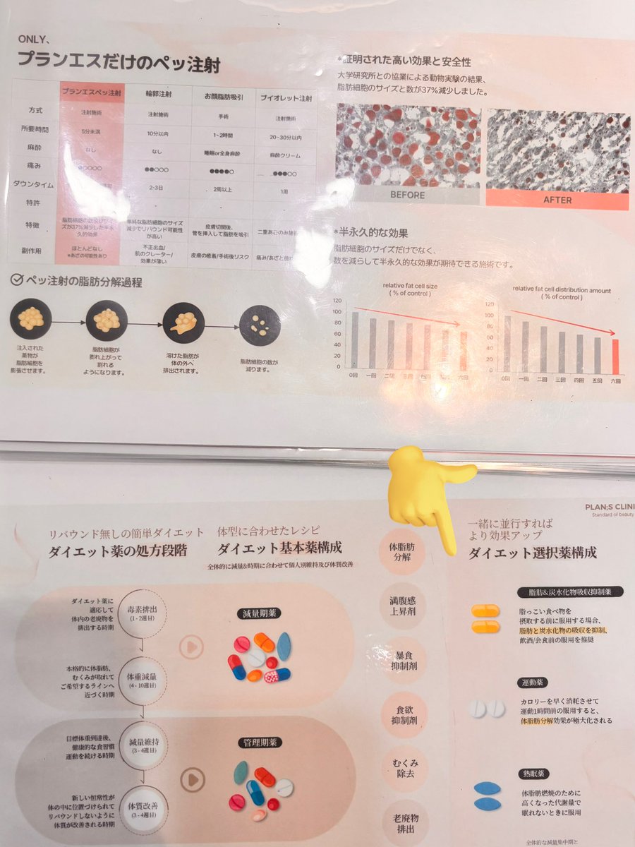 プランエス クリニック 脂肪吸収抑制 14日分 ダイエットサプリ