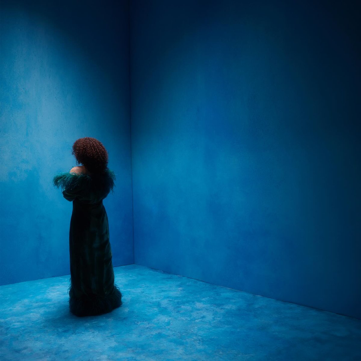 Spotify France tweet media