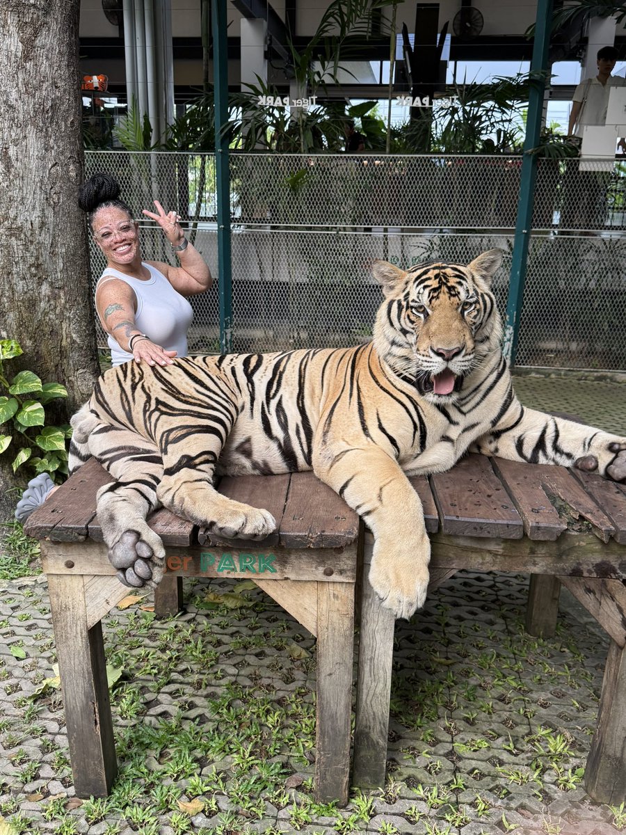 Thailand is an amazing place!