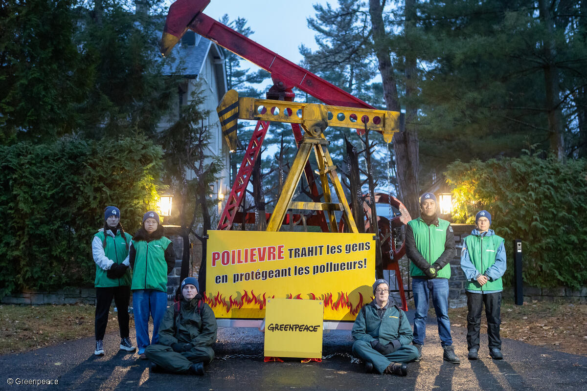 DERNIÈRE HEURE : Greenpeace Canada bloque l'entrée de la maison de <a href="/PierrePoilievre/">Pierre Poilievre</a> afin de dénoncer son programme anti-climat qui trahit la population.
👉 act.gp/3YVTL3T