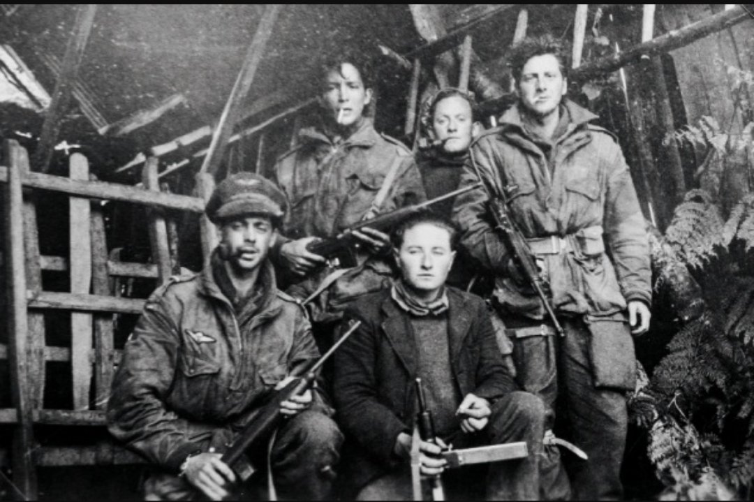 Morzhol 𝍎𝌆 🚩 tweet media