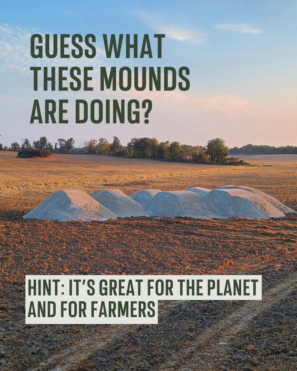 Fighting climate change, one farm at a time 🌍

In Ontario, 776 tonnes of crushed wollastonite are capturing CO₂, enriching soil, boosting yields &amp; reducing lime use – real benefits for farmers.

Learn more: bit.ly/4eaW4G0

#CarbonRemoval #SoilHealth #SustainableFarming
