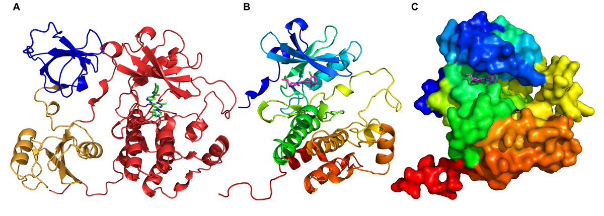 Kirill Medvedev (@kirillemedvedev) on Twitter photo The newest ECOD (Evolutionary Classification of Protein Domains) classification is out <a href="/NAR_Open/">Nucleic Acids Res</a> doi.org/10.1093/nar/gk… It incorporates predicted structures from 48 proteomes, includes <a href="/PfamDB/">The Pfam database</a> families, integrates #DrugDomain database <a href="/Alexbateman1/">Alex Bateman</a> <a href="/andreeva789bg/">Antonina Andreeva</a> #DrugDiscovery The newest ECOD (Evolutionary Classification of Protein Domains) classification is out <a href="/NAR_Open/">Nucleic Acids Res</a> doi.org/10.1093/nar/gk… It incorporates predicted structures from 48 proteomes, includes <a href="/PfamDB/">The Pfam database</a> families, integrates #DrugDomain database <a href="/Alexbateman1/">Alex Bateman</a> <a href="/andreeva789bg/">Antonina Andreeva</a> #DrugDiscovery