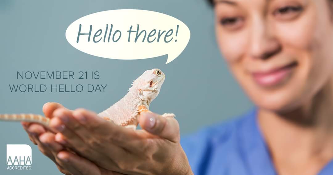 Brighten someone's day with a cheerful greeting! 🥰🐾