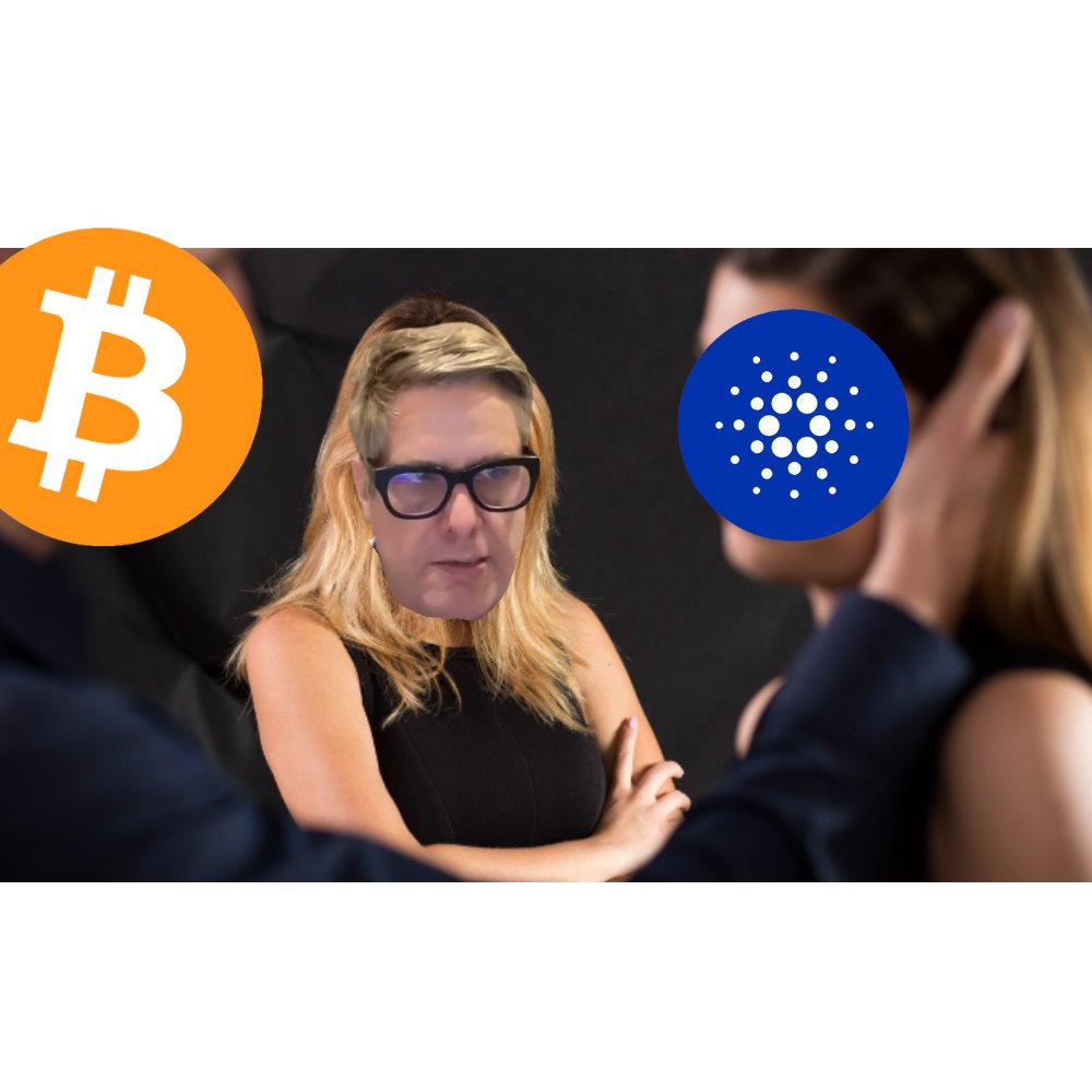 PAMP tweet media