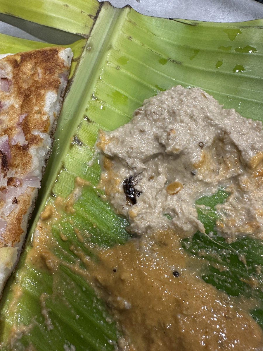 DayaArjun2's tweet photo. Tiffin chedham ani velthe chutneys lo natho kalipi mugguriki chala cockroaches vachai🤮🤮🤒

Madhuram tiffins, kphb near nexus mall,Hyd https://t.co/79T6afhGsp