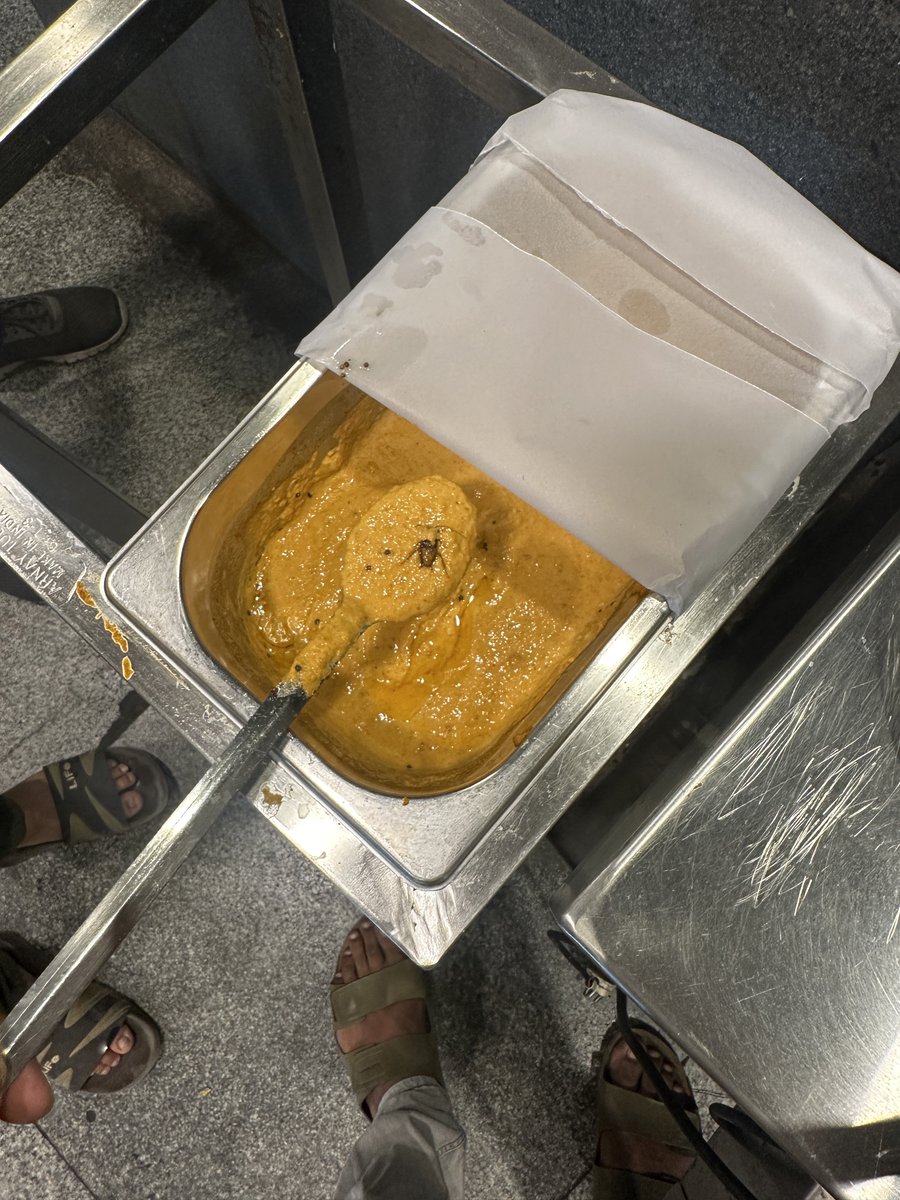 DayaArjun2's tweet photo. Tiffin chedham ani velthe chutneys lo natho kalipi mugguriki chala cockroaches vachai🤮🤮🤒

Madhuram tiffins, kphb near nexus mall,Hyd https://t.co/79T6afhGsp