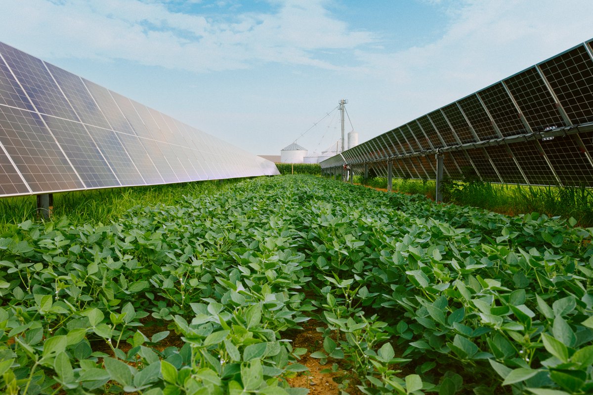Solar and Storage Industry tweet media