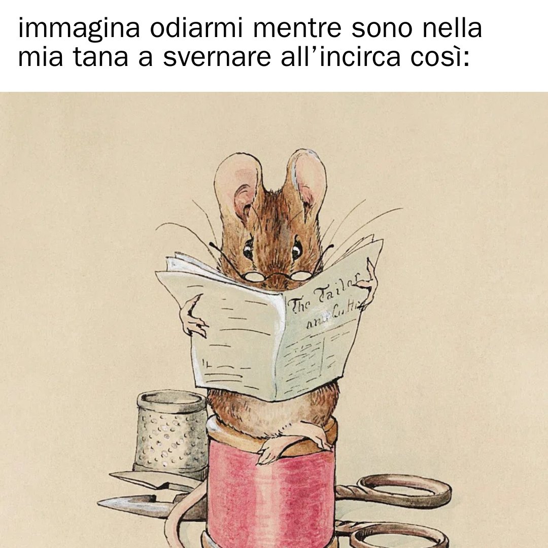 Immaginateci così, mentre soffia questo ventaccio polare 🌬️