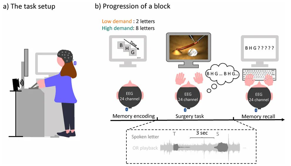 Can #MobileEEG help reduce work strain in operating rooms? 🏥

Operating rooms are intense environments where constant noise—from alarms to equipment—adds to healthcare professionals' stress and cognitive demands.

A recent study used mobile EEG to explore how these soundscapes