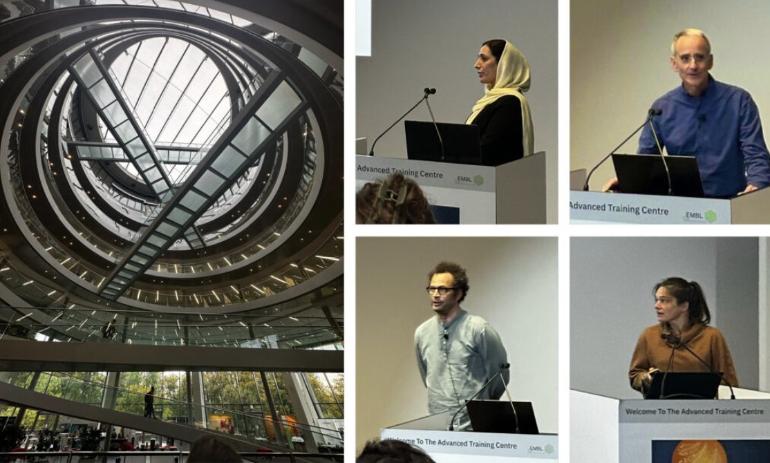 Olivier Duss (@olivierduss) on Twitter photo Exciting highlights of the recent complex life of #RNA #EESRNA symposium <a href="/embl/">EMBL</a> <a href="/EMBLEvents/">EMBL Events</a> featuring <a href="/disney_lab/">Matt Disney</a> Juan Valcarcel <a href="/CRGenomica/">Centre for Genomic Regulation (CRG)</a> <a href="/lapassmore/">Lori Passmore</a> Herve Le Hir <a href="/mayer_lab/">Mayer Laboratory</a> <a href="/YiliangDing/">Yiliang Ding</a> <a href="/SeitzHerve/">Hervรฉ Seitz</a> <a href="/MariaHondele/">Maria Hondele</a> @juliusbrennecke Bahareh Torkzaban
embl.org/news/science-tโฆ Exciting highlights of the recent complex life of #RNA #EESRNA symposium <a href="/embl/">EMBL</a> <a href="/EMBLEvents/">EMBL Events</a> featuring <a href="/disney_lab/">Matt Disney</a> Juan Valcarcel <a href="/CRGenomica/">Centre for Genomic Regulation (CRG)</a> <a href="/lapassmore/">Lori Passmore</a> Herve Le Hir <a href="/mayer_lab/">Mayer Laboratory</a> <a href="/YiliangDing/">Yiliang Ding</a> <a href="/SeitzHerve/">Hervรฉ Seitz</a> <a href="/MariaHondele/">Maria Hondele</a> @juliusbrennecke Bahareh Torkzaban
embl.org/news/science-tโฆ