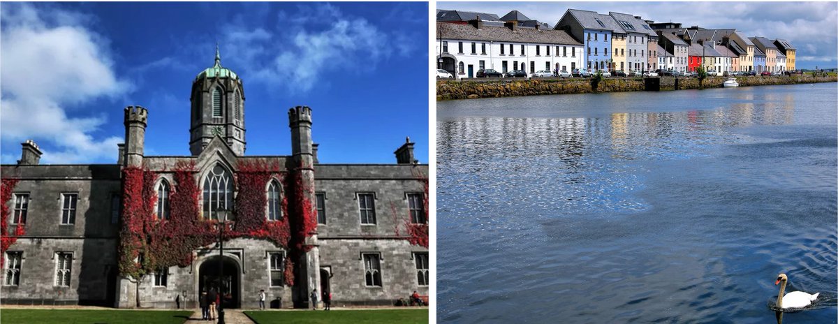 Serena Rosignoli (@serenarosignoli) on Twitter photo 📣 A 20 months #postdoc position in Palmaria palmata #seaweed metabolism/physiology/genetics is now available in our group <a href="/SulpiceLab/">Ronan Sulpice</a> in beautiful Galway, Ireland ☘️. Deadline: 4 December 2024. Please share. 
euraxess.ec.europa.eu/jobs/292690 📣 A 20 months #postdoc position in Palmaria palmata #seaweed metabolism/physiology/genetics is now available in our group <a href="/SulpiceLab/">Ronan Sulpice</a> in beautiful Galway, Ireland ☘️. Deadline: 4 December 2024. Please share. 
euraxess.ec.europa.eu/jobs/292690