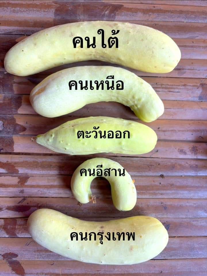 นุชิตา ศรีเงีนทอง tweet media