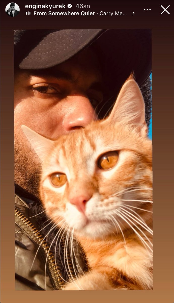 Canım engin. Canım. Feyyaz.  🐈🐈🐈

#EnginAkyürek