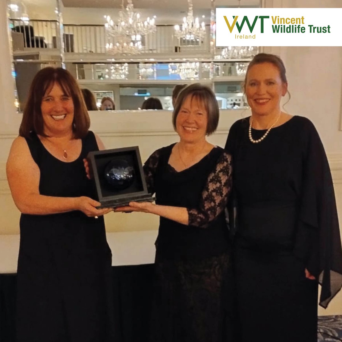 Vincent Wildlife (@vincentwildlife) on Twitter photo Huge congratulations to VWT’s Ireland Mammal Programme Manager, Kate McAney, for her #AoibheannGaughranAward in recognition of outstanding commitment, leadership, and passion for bat conservation… particularly for the rare lesser horseshoe bat. Well done Kate! <a href="/BatConservIre/">Bat Conservation Ire</a> Huge congratulations to VWT’s Ireland Mammal Programme Manager, Kate McAney, for her #AoibheannGaughranAward in recognition of outstanding commitment, leadership, and passion for bat conservation… particularly for the rare lesser horseshoe bat. Well done Kate! <a href="/BatConservIre/">Bat Conservation Ire</a>