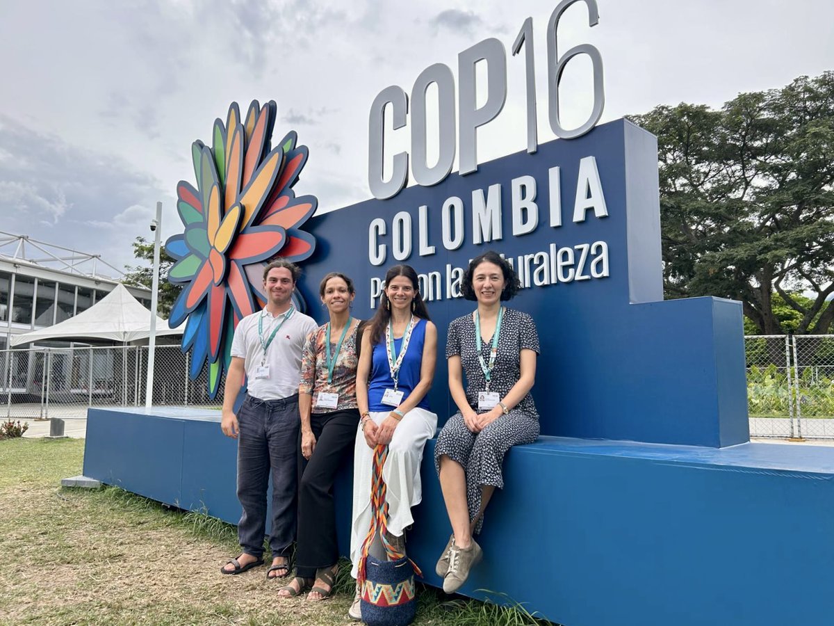 iDiv Biodiversity Research (@idiv) on Twitter photo 🌍✨ iDiv at #COP16Colombia: COP16 ended with some achievements and many unanswered questions.🔹Learn more with our overview of the conference, iDiv side-events, and reactions from <a href="/hmlfpereira/">Henrique Pereira</a>, <a href="/SolveigRichter/">Solveig Richter @solveigrichter.bsky.social</a>, and others within iDiv. ➡️idiv.de/en/news/news_s… 🌍✨ iDiv at #COP16Colombia: COP16 ended with some achievements and many unanswered questions.🔹Learn more with our overview of the conference, iDiv side-events, and reactions from <a href="/hmlfpereira/">Henrique Pereira</a>, <a href="/SolveigRichter/">Solveig Richter @solveigrichter.bsky.social</a>, and others within iDiv. ➡️idiv.de/en/news/news_s…