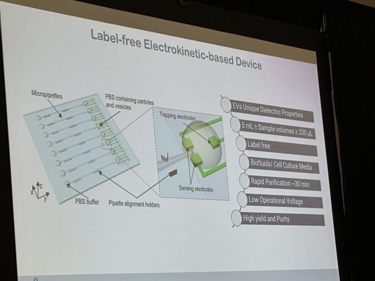 Label-free separation and characterization of #ExtracellularVesicles: is it possible? Indeed...Leyla Esfandiari presents at #ISEVxTECH how her group performs rapid, gentle separation based on electrokinetics. She also uses tech such as electrical impedance spectroscopy to