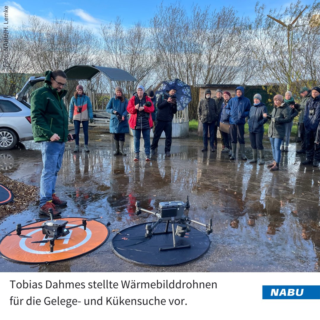 Zurück von unserer #Kiebitz-Tagung am letzten Wochenende: 180 Teilnehmer*innen, 13 Vorträge, 2 tolle Tage! Vorträge und intensive Diskussionen zu Forschung &amp; Schutzprojekten, eine Exkursion ins Bremer Blockland  - gemeinsam für den Kiebitz! 💚
Mehr Infos: 
lapwingconservation.org/2024/11/20/kie…