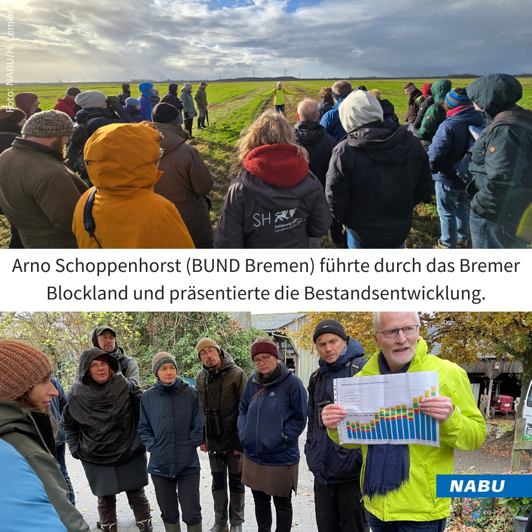 nabu_MOIN's tweet photo. Zurück von unserer #Kiebitz-Tagung am letzten Wochenende: 180 Teilnehmer*innen, 13 Vorträge, 2 tolle Tage! Vorträge und intensive Diskussionen zu Forschung &amp; Schutzprojekten, eine Exkursion ins Bremer Blockland  - gemeinsam für den Kiebitz! 💚
Mehr Infos: 
https://t.co/SpUbSgUq0r https://t.co/u9DMJ16598