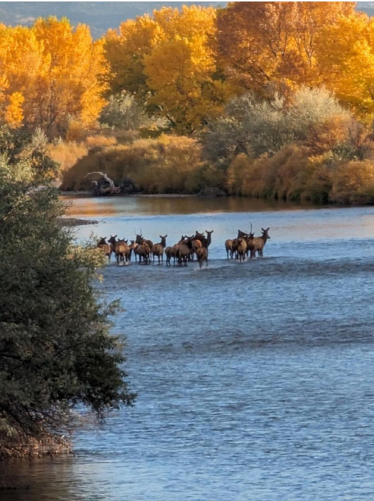 Ray Birmingham (@birminghamray) on Twitter photo New Mexico New Mexico