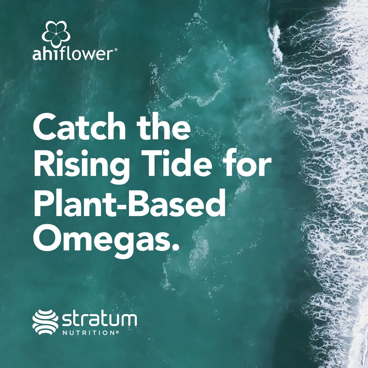 Ahiflower® oil was developed to provide the world an ecologically regenerative source of complete and balanced plant-based omegas.

For more on Ahiflower: ow.ly/3Ice50POJGr

#ahiflower #omegas #stratumnutrition #plantbased