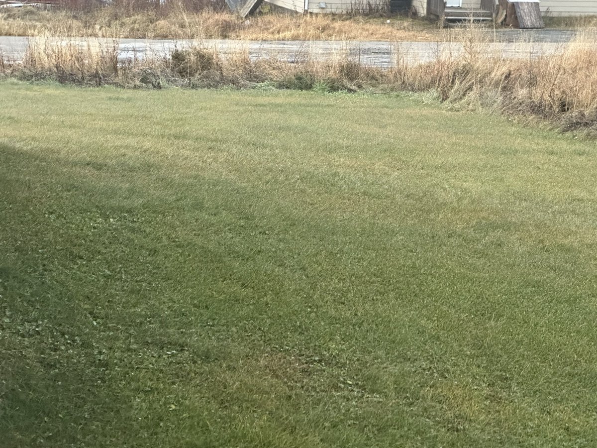 Spirit_Rider302's tweet photo. It’s November 21, 2024 in God’s River, Manitoba and the lake is still not frozen. The grass is not covered with snow! Wonder if winter will arrive in Northeastern Manitoba! #Whereswinter https://t.co/QRy6gDN7pQ