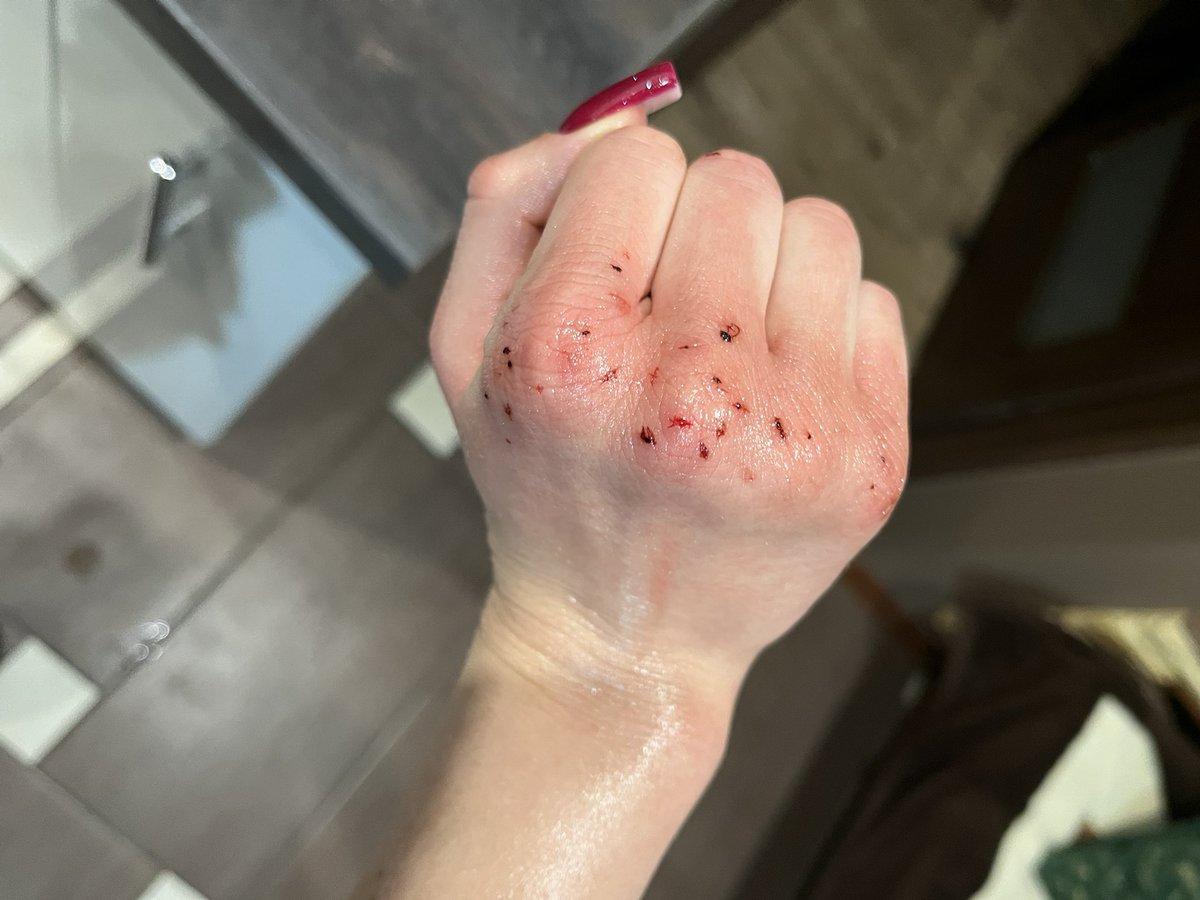 K1VBUMXELVX's tweet photo. wiem ze robi sie zimmo po moich rekach https://t.co/I10ZLv1v69
