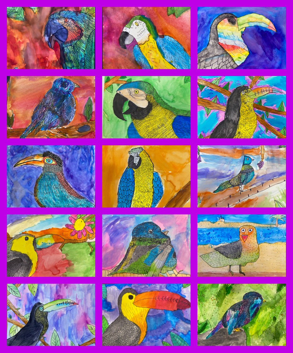 Mrs. G's BBP Artists (@mrs_bbp) on Twitter photo What can brighten a gloomy day better than these 5th grade tropical bird watercolor paintings? They carefully illustrated each feather, experimenting w/bold colors & contrasting backgrounds. Creativity in full flight! <a href="/BBPSylvan/">@BBPSylvan</a> <a href="/BPESchool/">Blue Point Elementary School</a> <a href="/BBPArtandMusic/">@BBPArtandMusic</a> <a href="/BBPSchools/">Bayport-Blue Point</a> <a href="/BBPSEABBS/">SEA-BBS Community</a> What can brighten a gloomy day better than these 5th grade tropical bird watercolor paintings? They carefully illustrated each feather, experimenting w/bold colors & contrasting backgrounds. Creativity in full flight! <a href="/BBPSylvan/">@BBPSylvan</a> <a href="/BPESchool/">Blue Point Elementary School</a> <a href="/BBPArtandMusic/">@BBPArtandMusic</a> <a href="/BBPSchools/">Bayport-Blue Point</a> <a href="/BBPSEABBS/">SEA-BBS Community</a>