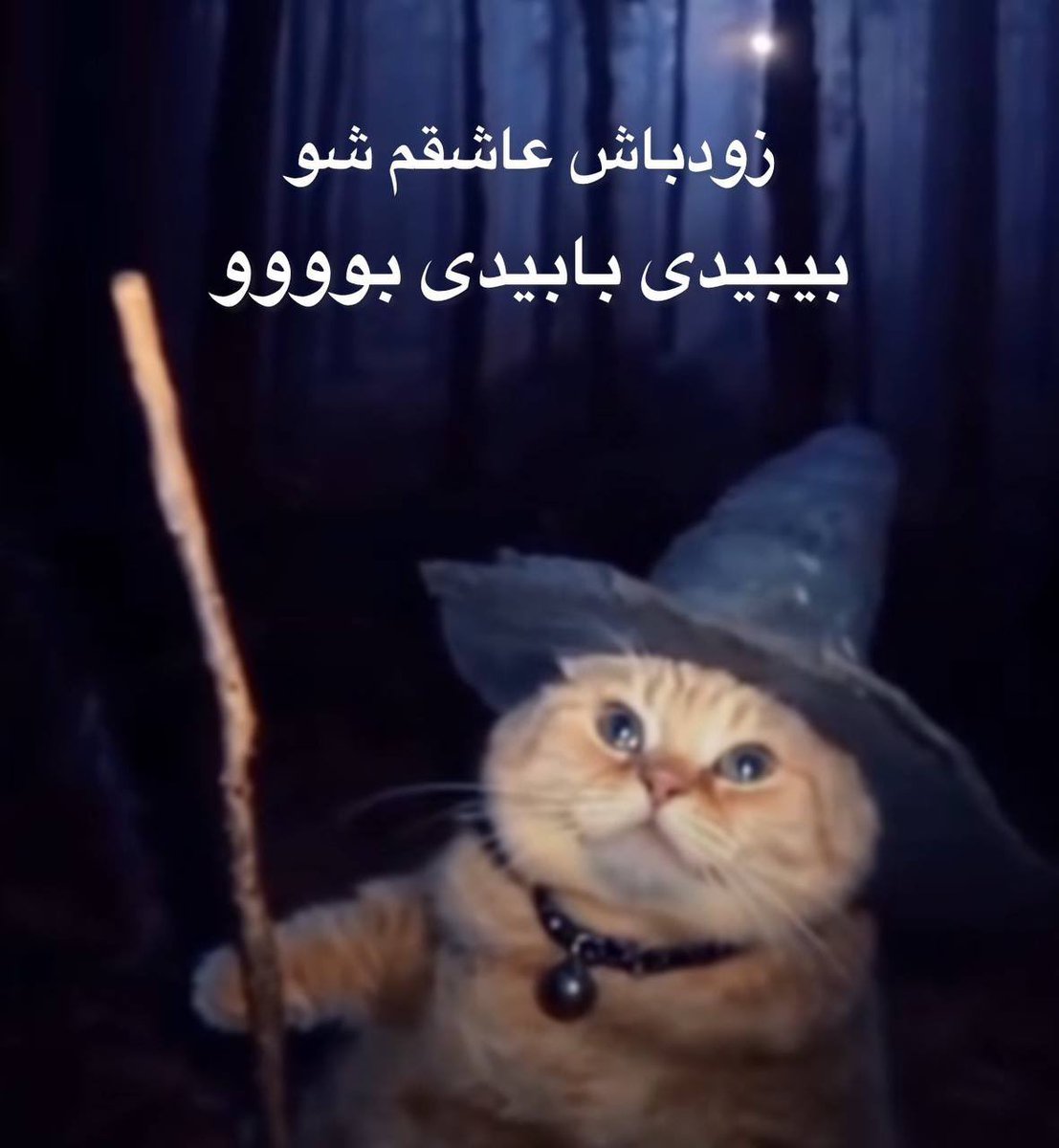 برای تانگو دو نفر لازمه tweet media
