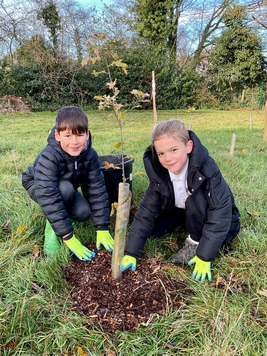 Year 3 have had a wonderful day learning how to care for our sapling woodland. Thanks to everyone at <a href="/merseyforest/">The Mersey Forest</a>  and <a href="/ManMetUni/">Manchester Metropolitan Uni</a>  for leading our workshop today and inspiring us to care for the nature in our school environment. We can't wait for the second workshop next week!