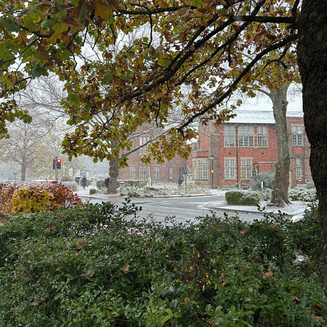 Let it snow, let it snow, let it snow! ❄️ ☃️

#SnowDay