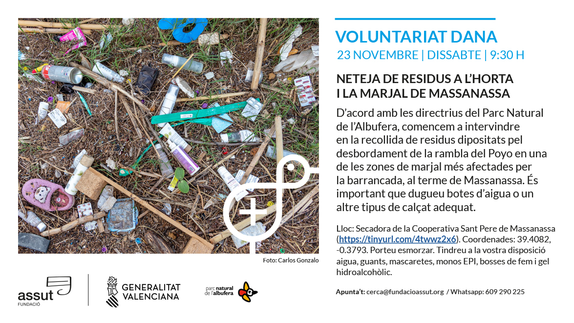 Fundació Assut (@fundacioassut) on Twitter photo Dissabte que ve, 23 de novembre, #voluntariat #DANA a l'#Albufera. Compartim en l'enllaç següent el lloc de trobada: tinyurl.com/4twwz2x6
Envieu correu a cerca@fundacioassut.org #voluntariado #dana #albufera (recordeu portar calçat adequat) Dissabte que ve, 23 de novembre, #voluntariat #DANA a l'#Albufera. Compartim en l'enllaç següent el lloc de trobada: tinyurl.com/4twwz2x6
Envieu correu a cerca@fundacioassut.org #voluntariado #dana #albufera (recordeu portar calçat adequat)