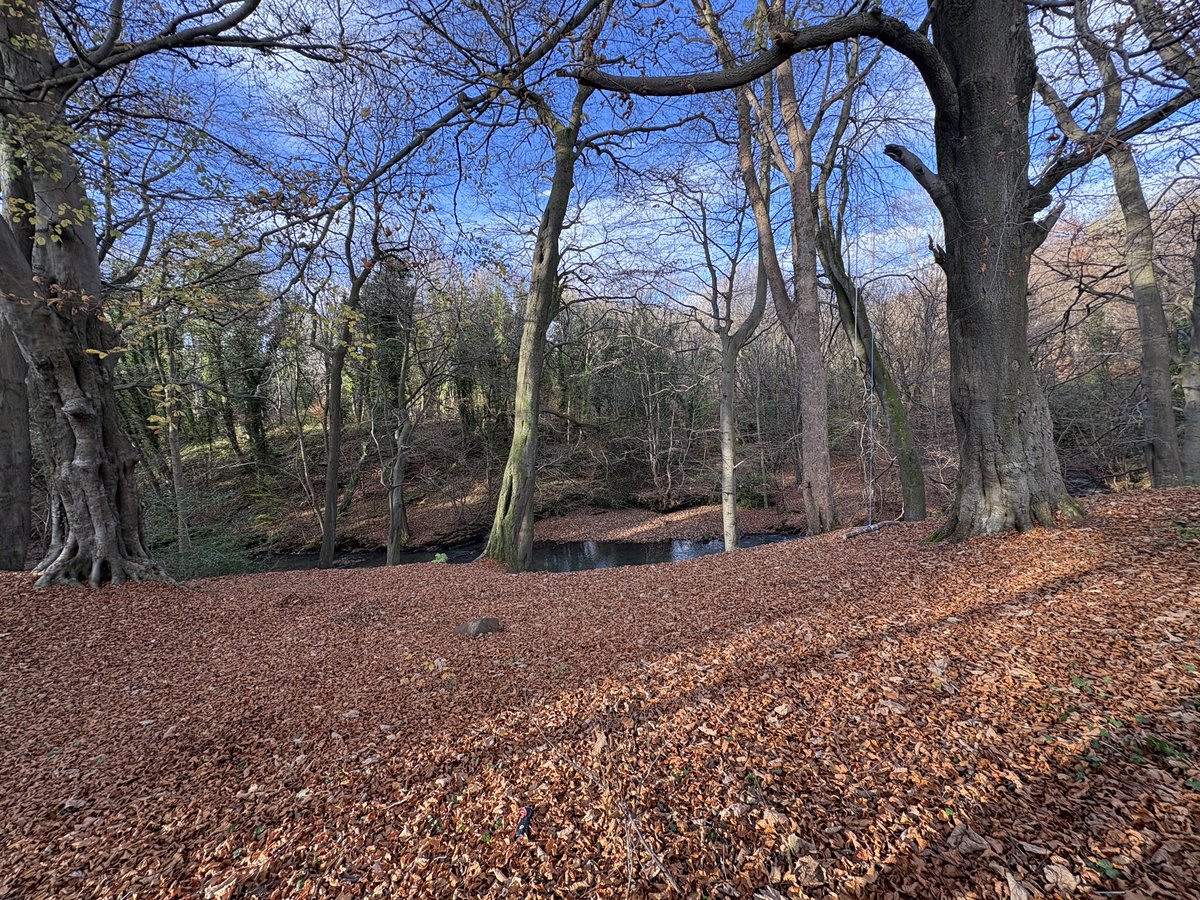 Anthony Robson (no longer in Edinburgh!) tweet media