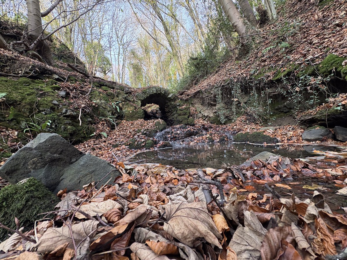 Anthony Robson (no longer in Edinburgh!) tweet media