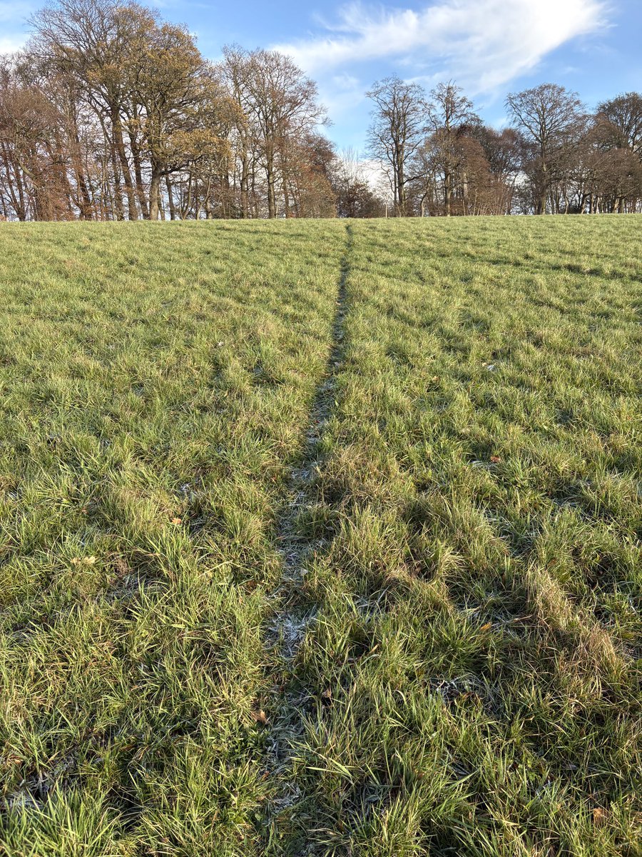 Anthony Robson (no longer in Edinburgh!) tweet media