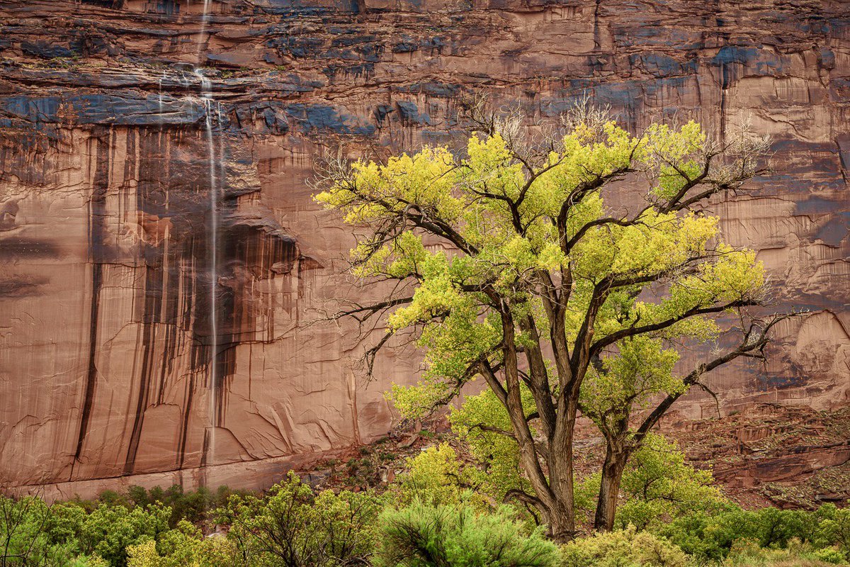 Bret Edge tweet media