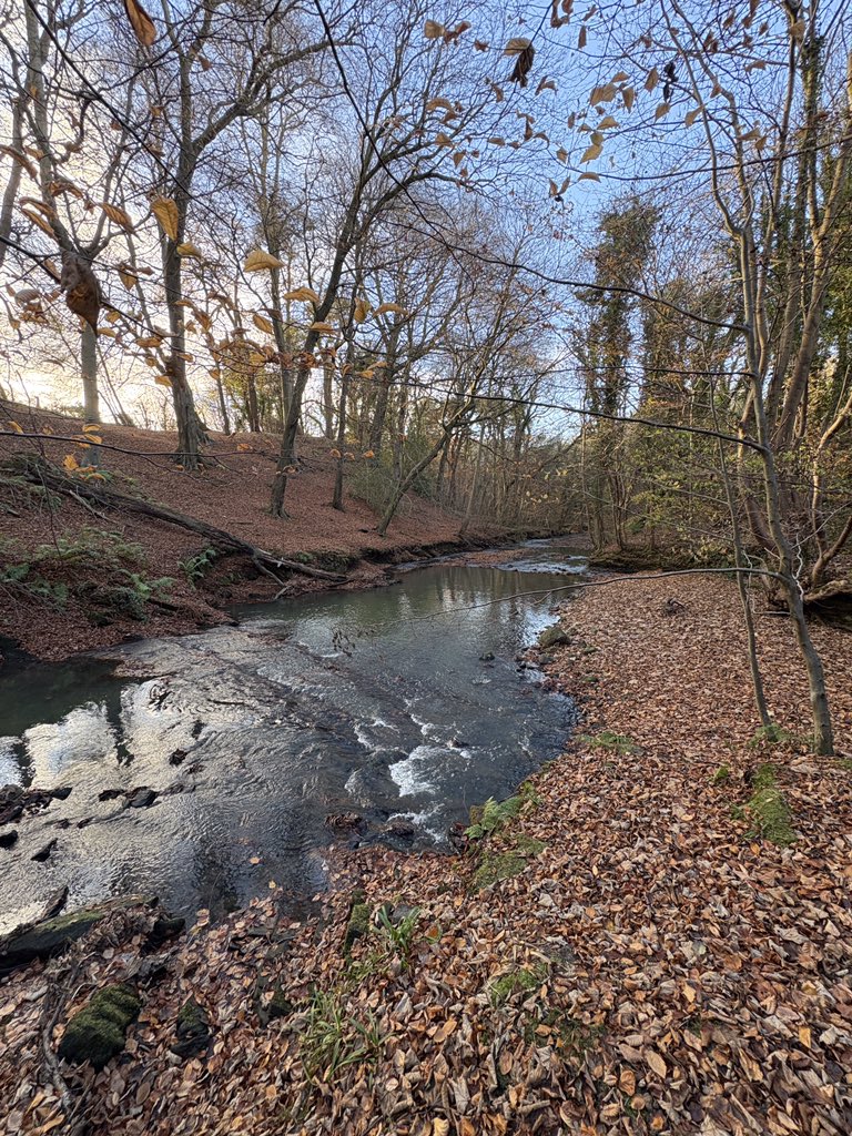 Anthony Robson (no longer in Edinburgh!) tweet media
