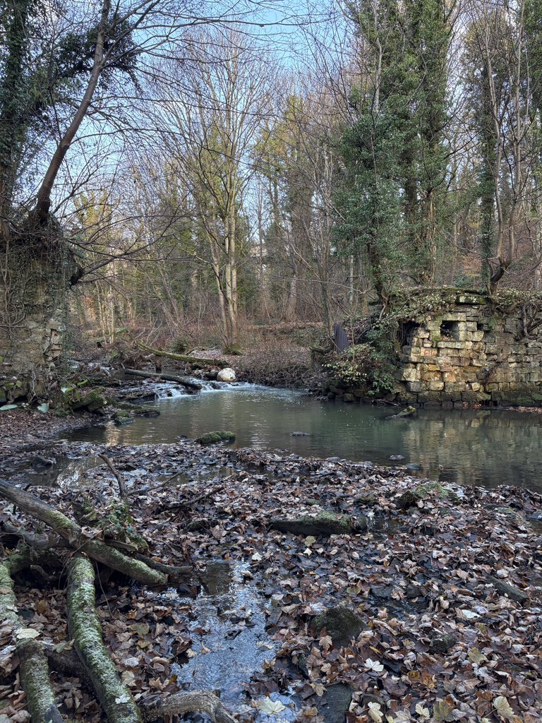 Anthony Robson (no longer in Edinburgh!) tweet media