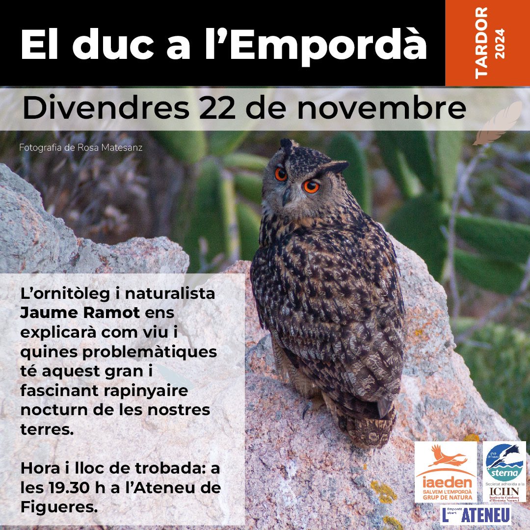 🗣️EL DUC A L'EMPORDÀ
📆 Divendres 22 de novembre, 19.30 h
📍L'Ateneu Empordà Obert #Figueres

👉L'ornitòleg i naturalista Jaume Ramot ens explicarà com viu i quines problemàtiques té aquest gran i fascinant rapinyaire nocturn nocturn de les nostres terres.
