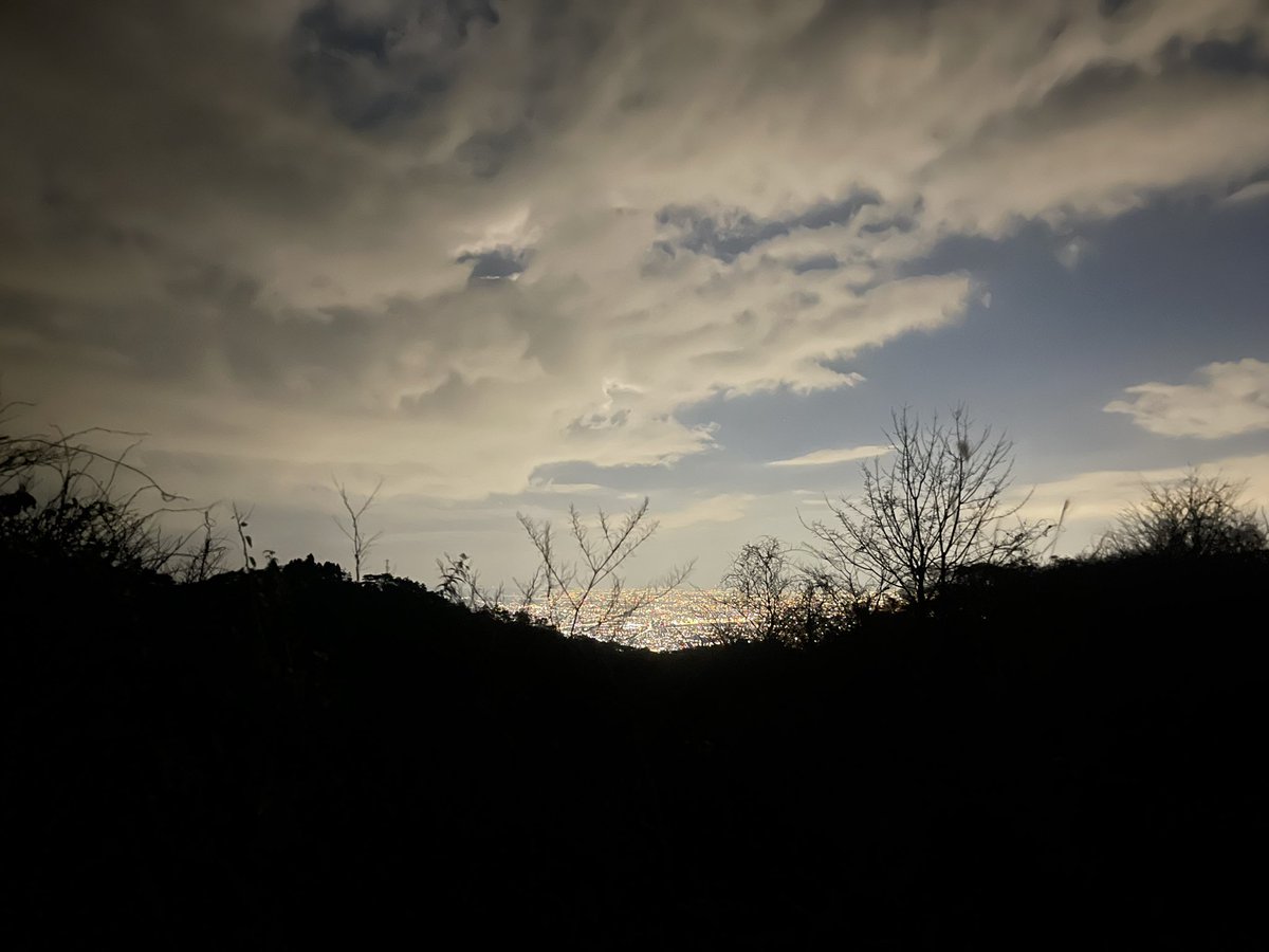 不爱说话 tweet media